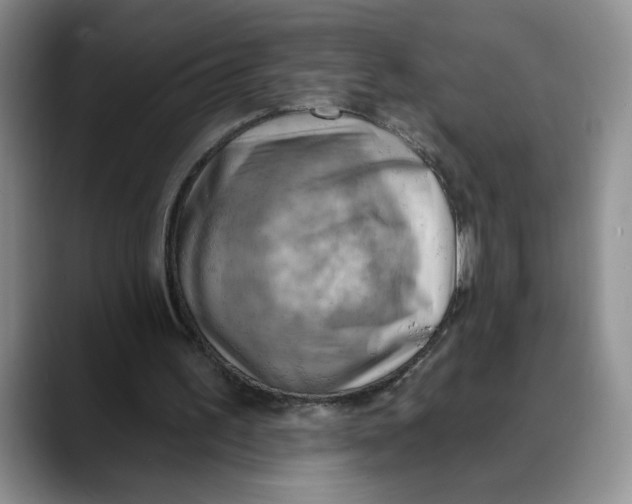 X0000088490195200706121555