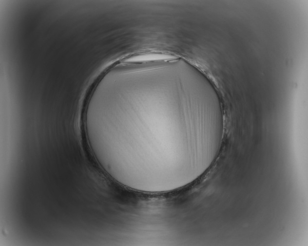 X0000088490196200706121555