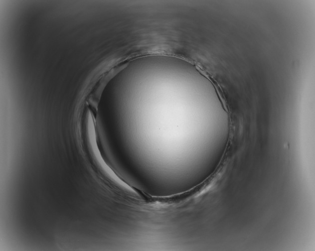 X0000088490197200706121555