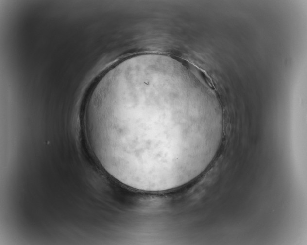 X0000088490198200706121555