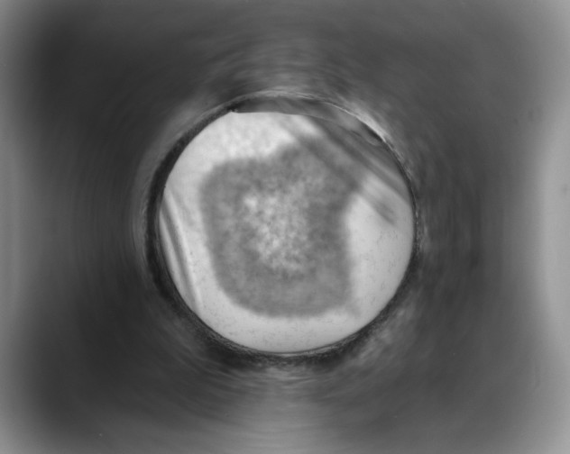 X0000088490199200706121555