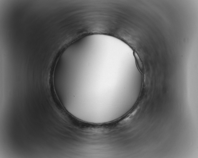 X0000088490201200706121555