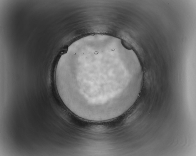 X0000088490203200706121555