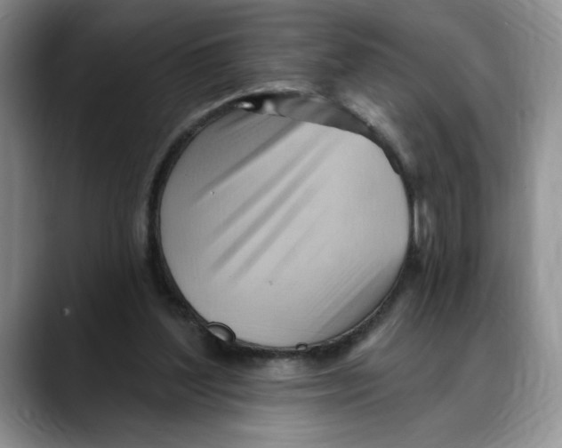 X0000088490204200706121555