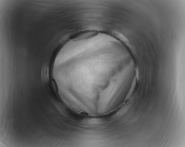 X0000088490205200706121555