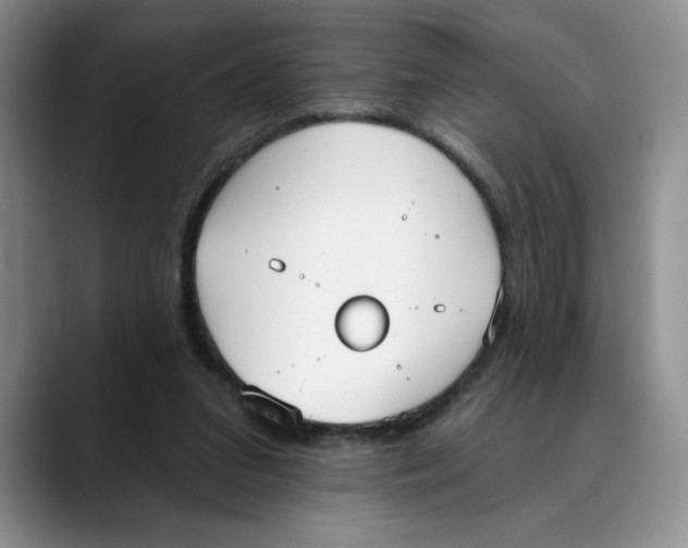X0000088490207200706121555
