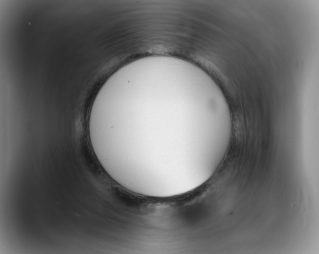 X0000088490208200706121555
