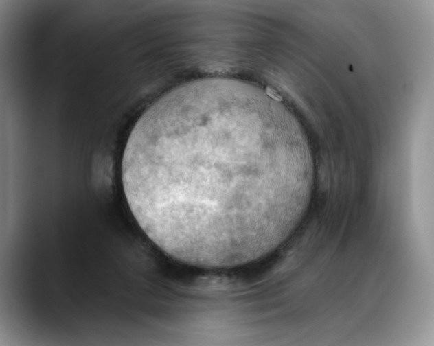 X0000088490211200706121555