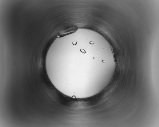 X0000088490212200706121555