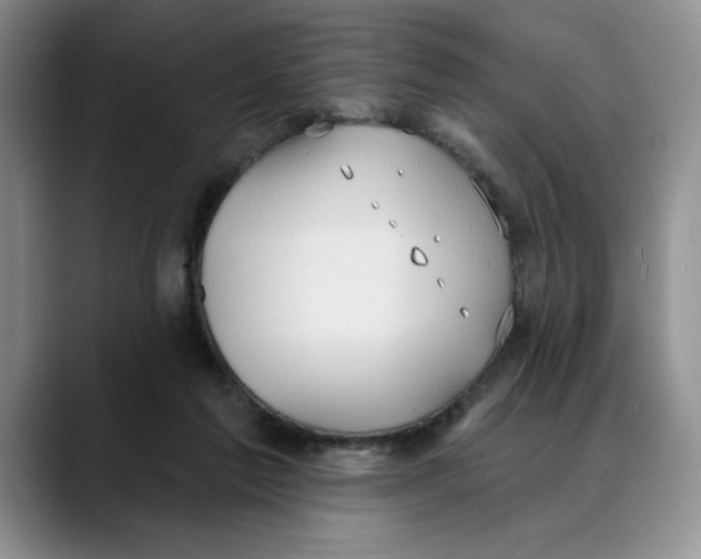 X0000088490213200706121555