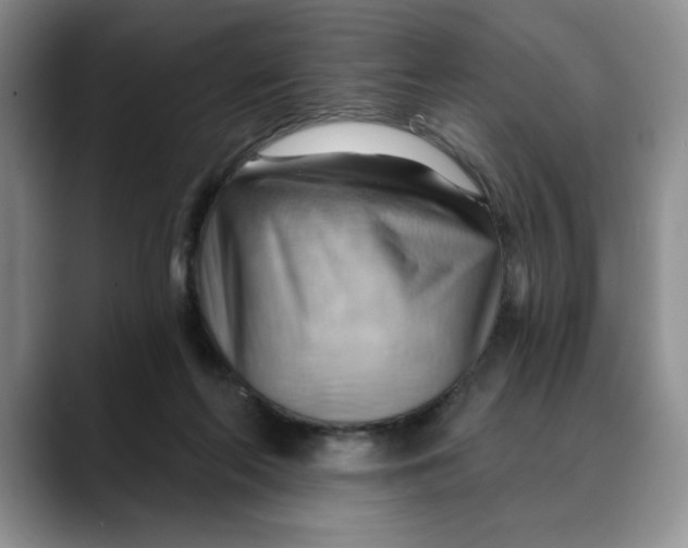 X0000088490214200706121555