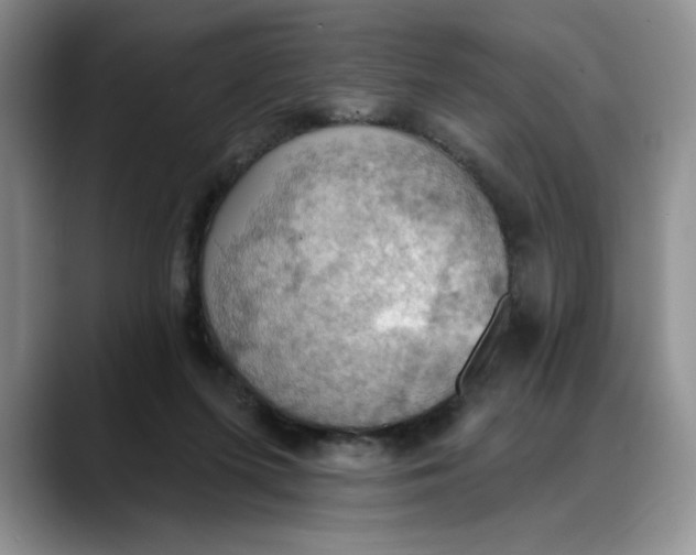 X0000088490215200706121555
