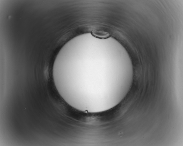 X0000088490216200706121555