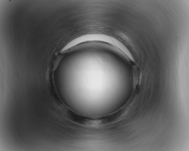 X0000088490217200706121555