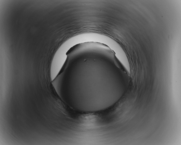 X0000088490219200706121555