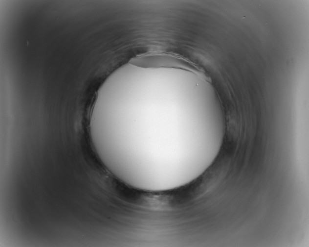 X0000088490221200706121555