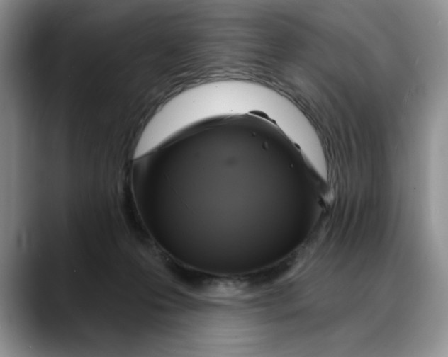 X0000088490223200706121555