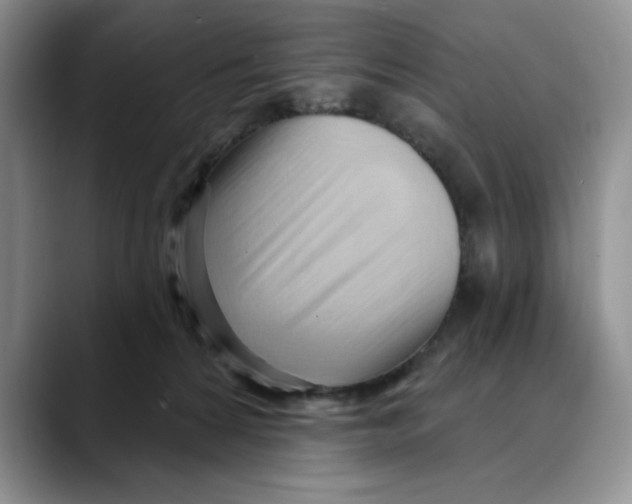 X0000088490224200706121555