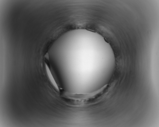 X0000088490225200706121555
