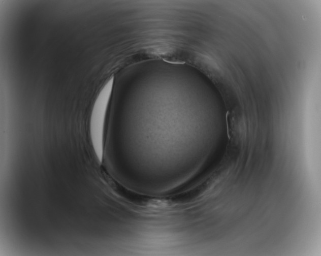 X0000088490227200706121555