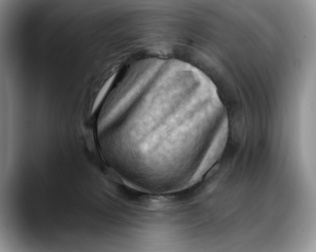 X0000088490229200706121554