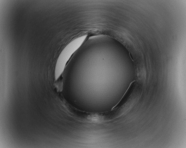 X0000088490231200706121554