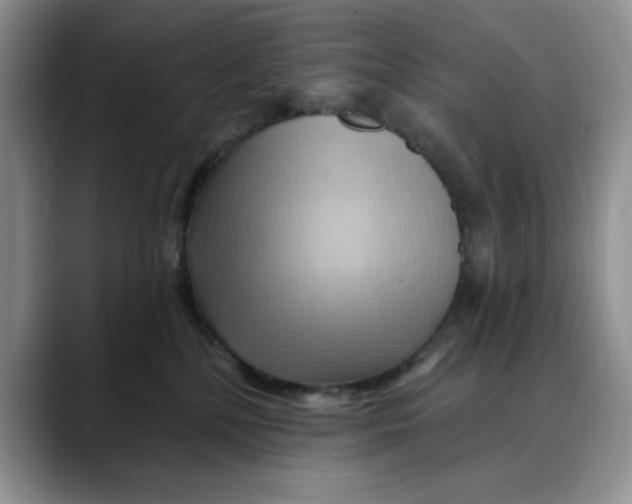 X0000088490232200706121554