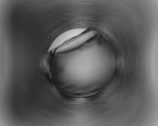 X0000088490233200706121554