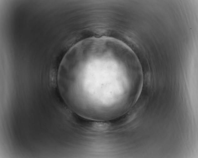 X0000088490234200706121554