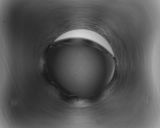 X0000088490235200706121554