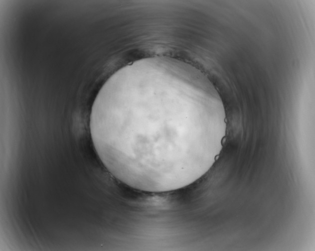 X0000088490236200706121554