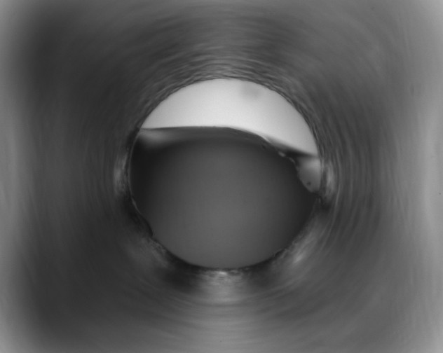 X0000088490239200706121554