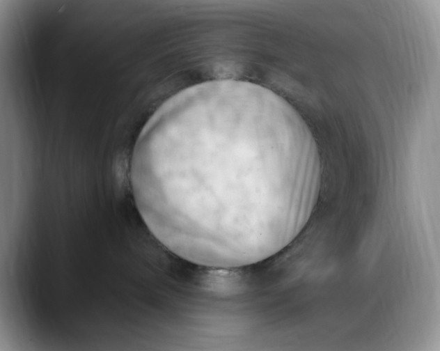 X0000088490240200706121554