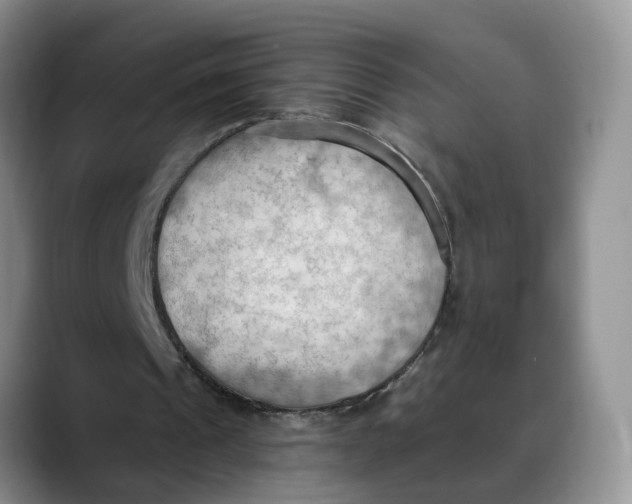 X0000088490241200706121554