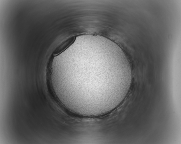 X0000088490242200706121554