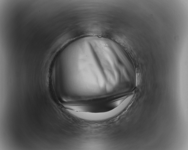 X0000088490243200706121554