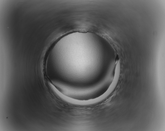 X0000088490244200706121554