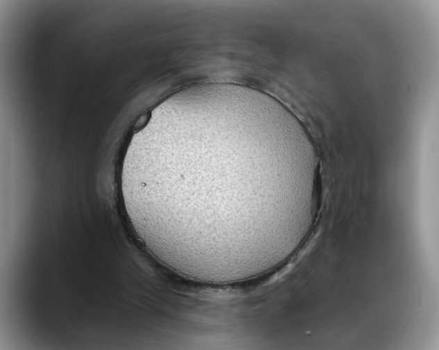 X0000088490245200706121554
