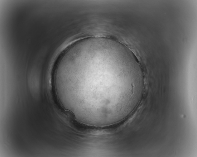 X0000088490246200706121554