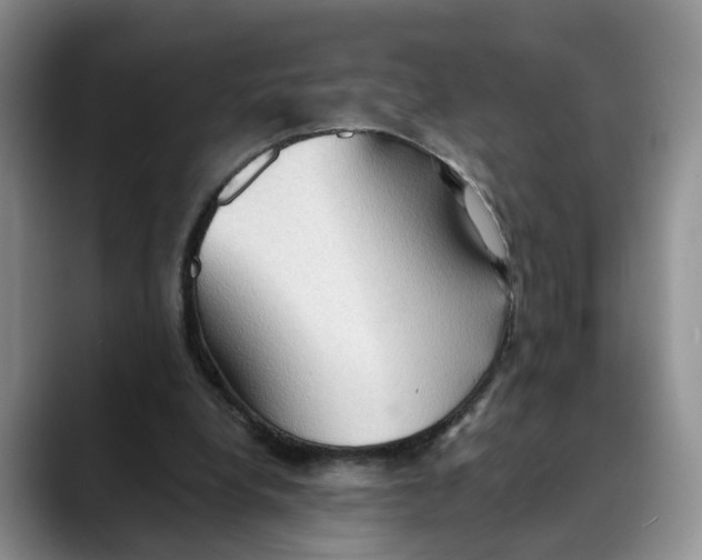 X0000088490248200706121554