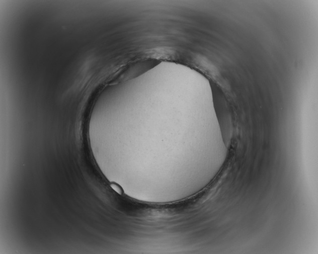 X0000088490250200706121554