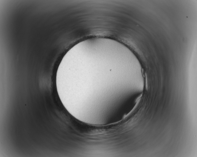 X0000088490252200706121554