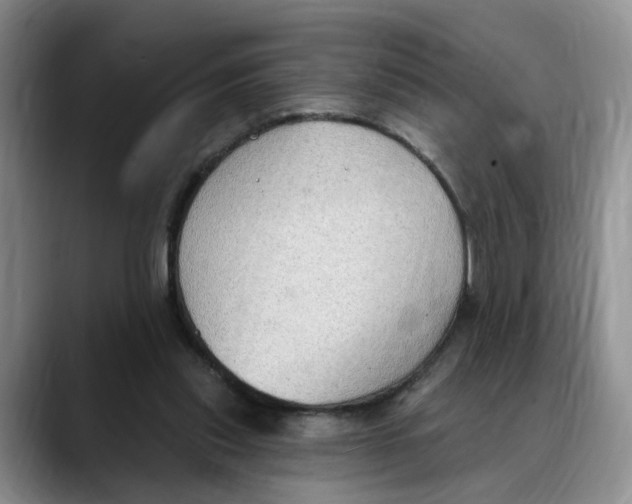 X0000088490253200706121554