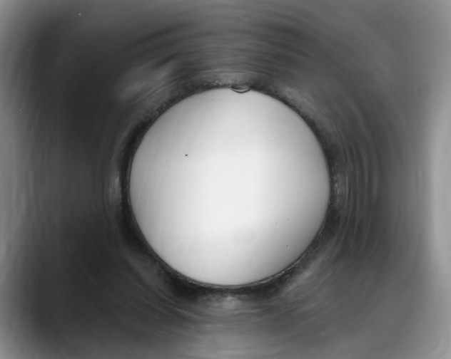 X0000088490254200706121554