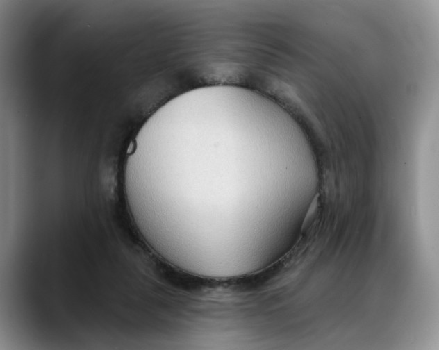 X0000088490259200706121554