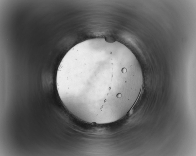 X0000088490260200706121554