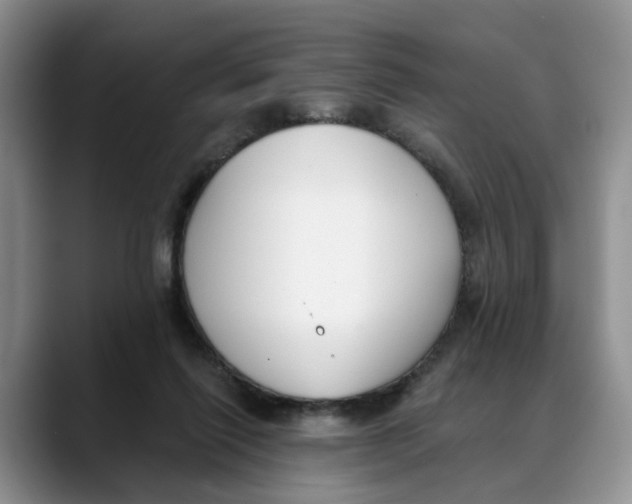 X0000088490262200706121554