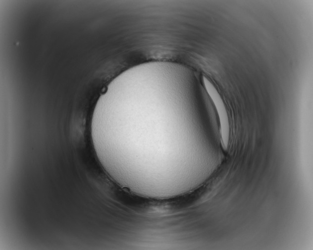 X0000088490263200706121554