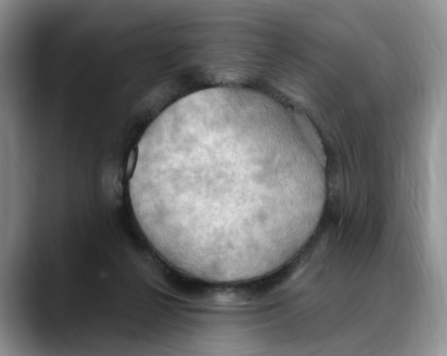 X0000088490264200706121554