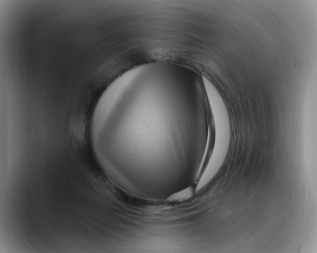 X0000088490266200706121554